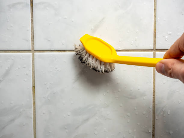 Best Mold Remediation  in Centerville, TN